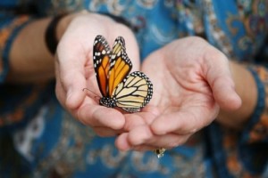 encouraging-quotes-spiritual-transformation-butterfly
